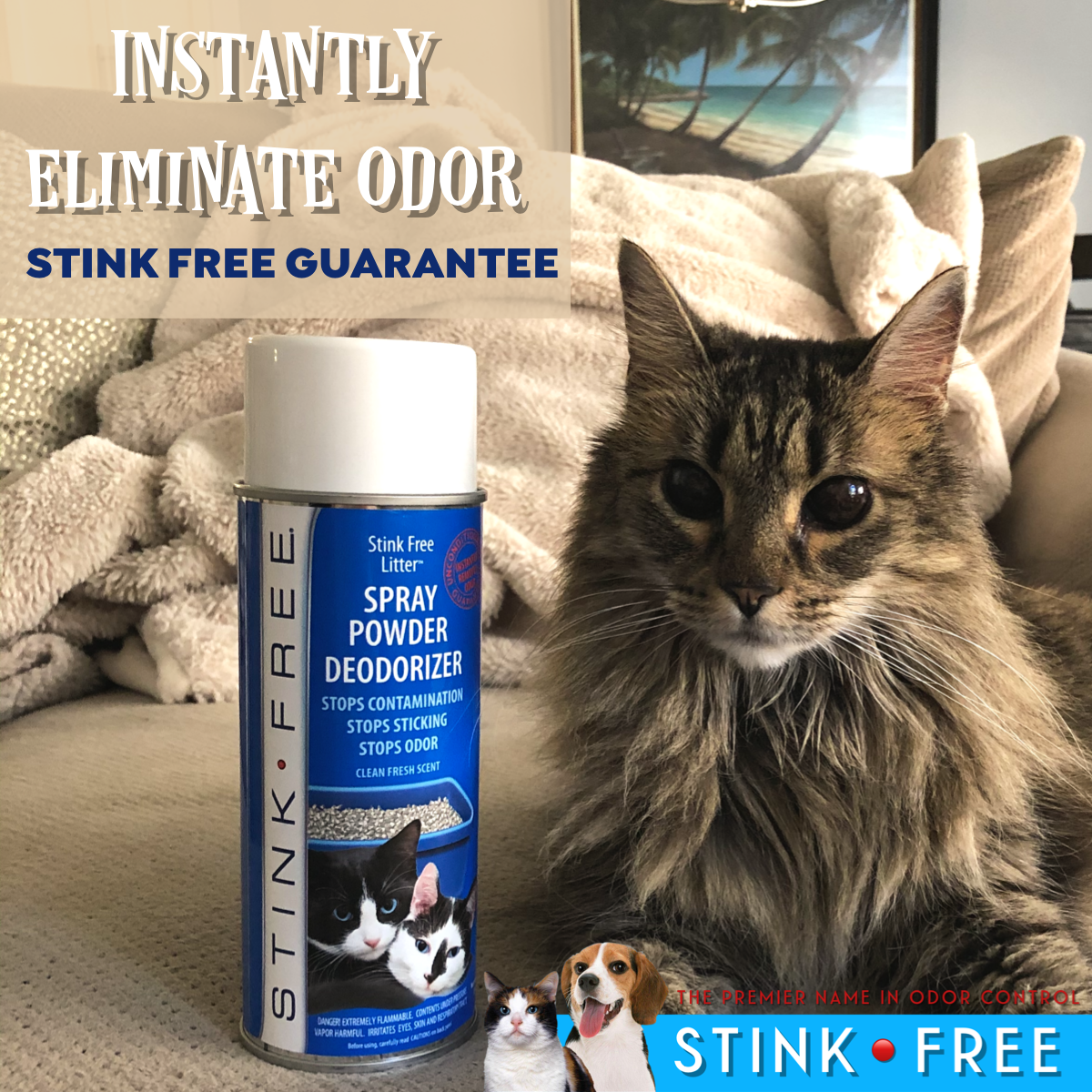 2 Pack of Non Stick Litter Spray with FREE 2 oz Every Cat & Rainstorm Solid Deodorizer
