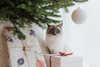 Cat Proofing Your Christmas Tree