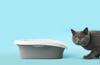 Why Every Cat Parent Needs a Litter Box Deodorizer in Their Routine