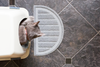 Cleaning Up Litter Box Problems: When Behavior vs. Medical Issues Are at Play