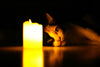 Is your favorite fall scent toxic to your cat?