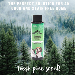 BLACK FRIDAY SPECIAL- 15% off All Natural Stain & Urine Odor Eliminator for Pets w/ FREE UV Light (Empty 24 oz. Sprayer Included)