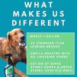 Solid Gel Deodorizer For Pets - Rainstorm Scent (2 pack) + FREE All Natural 4oz Concentrate paired with an empty 24oz spray bottle