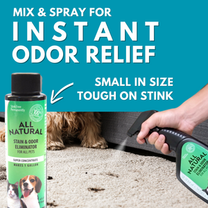 All Natural Stain Urine Odor Eliminator for Pets w FREE UV Light M Stink Free