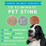 Solid Gel Deodorizer For Pets - Rainstorm Scent (2 pack) + FREE All Natural 4oz Concentrate paired with an empty 24oz spray bottle