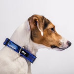 Tickless & JK9 Anti Tick Outdoor Collar for Dogs & Cats