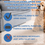 Urine Odor Remover For Pets - Gallons