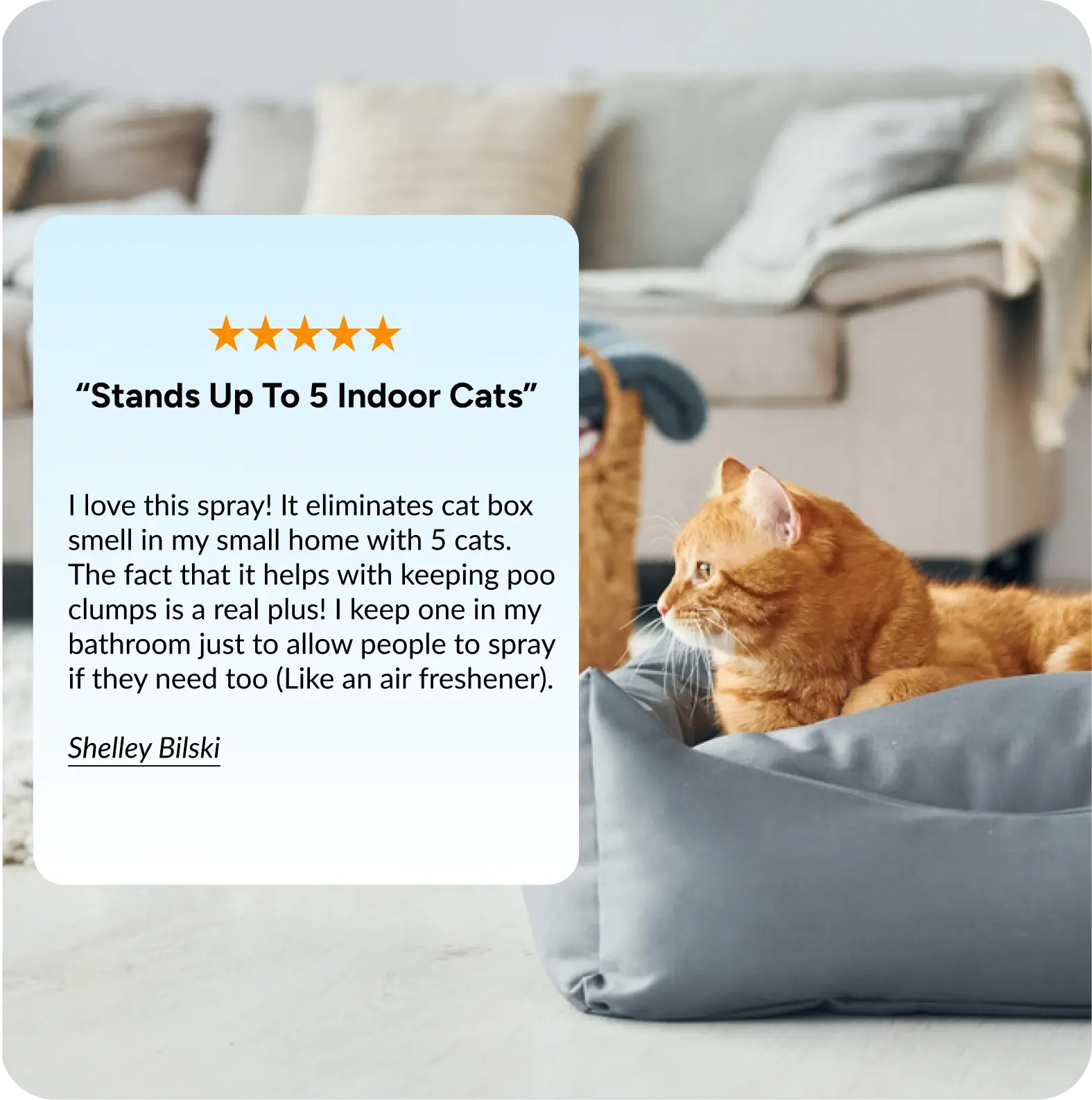 Litter Box Deodorizer Powder & Odor Eliminator (2 pack)