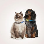 Tickless Mini Ultrasonic Flea & Tick Collar Device for Dogs & Cats