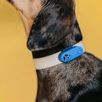 Tickless Mini Ultrasonic Flea & Tick Collar Device for Dogs & Cats