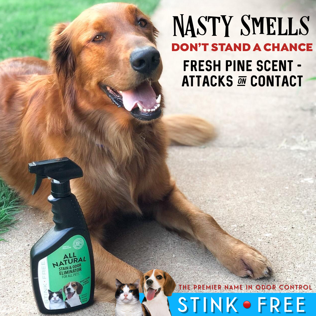 All Natural Stain & Urine Odor Eliminator for Pets (24 oz. Application Spray Bottle)