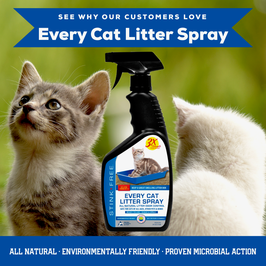 Eliminate cat litter shop smell